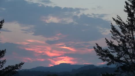 California-Tree-Branches-And-Sunset-Over-Hills